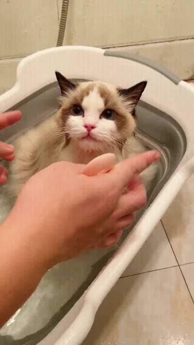 Sweetest thing I've seen today