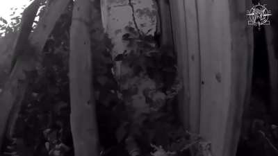 Ukrainian soldiers of the SOF unit 