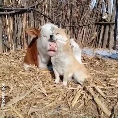 This is true friendship