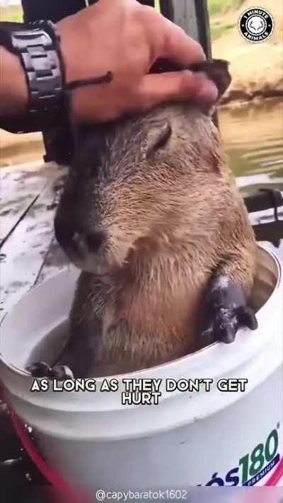 That ending got me good tho 