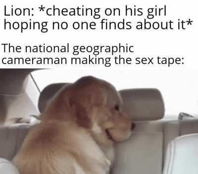 broadcasts it worldwide