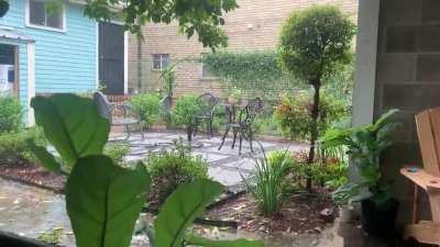 Raining in New Orleans