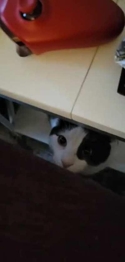 Kenny was not about it 😂