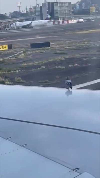 Drone stopped working