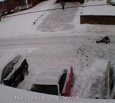 Argument over snow shoveling turns into double homicide