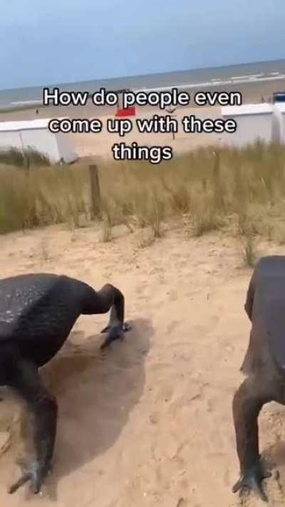 oh yeah, the evolution 😌