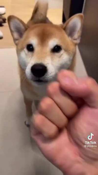 sTuPiD bAsTarD pUnChEs hElPlEsS pOoR dOg