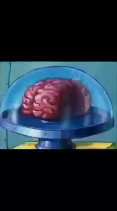 Where can i be racist