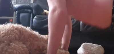 Big derp won't let me do a home workout