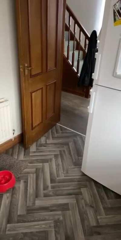 Guilty boy strikes again