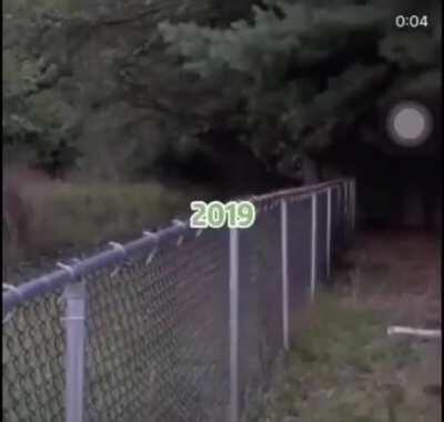 2020 is a trouble maker