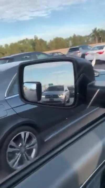 Egret thinks he is a Hood Ornament.