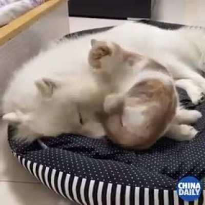 i had a bad dream, can i sleep next to you?