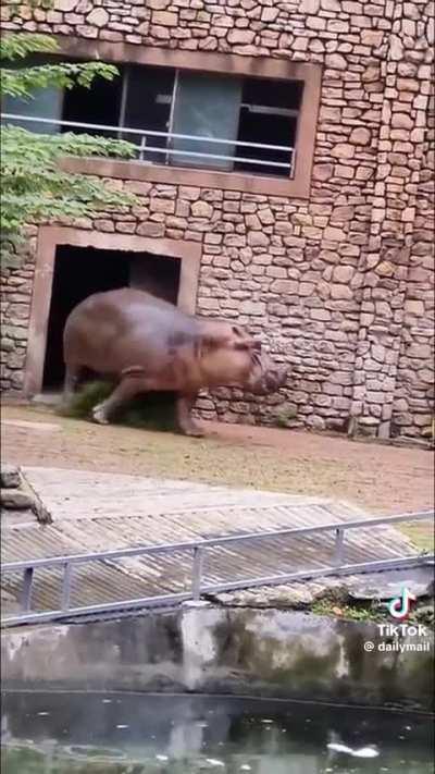 Probably the most stressful video I have ever seen