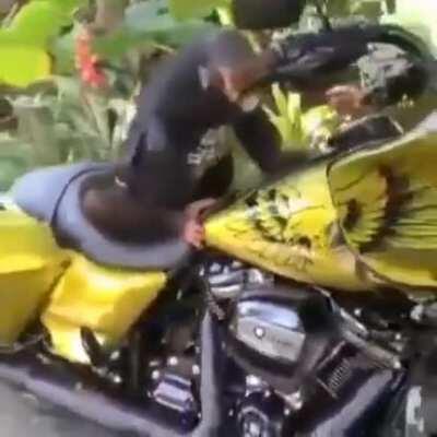 Mono facha🐒😎👌