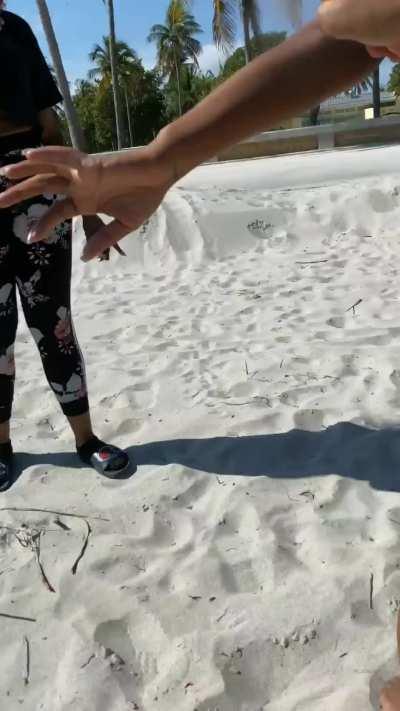 Sun screen @ lastarya