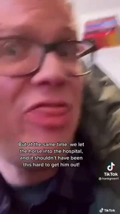 What do you do after the horse is out of the hospital?