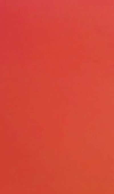 red thongs complete every outfit