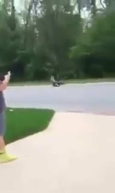 Everyone’s day is ruined