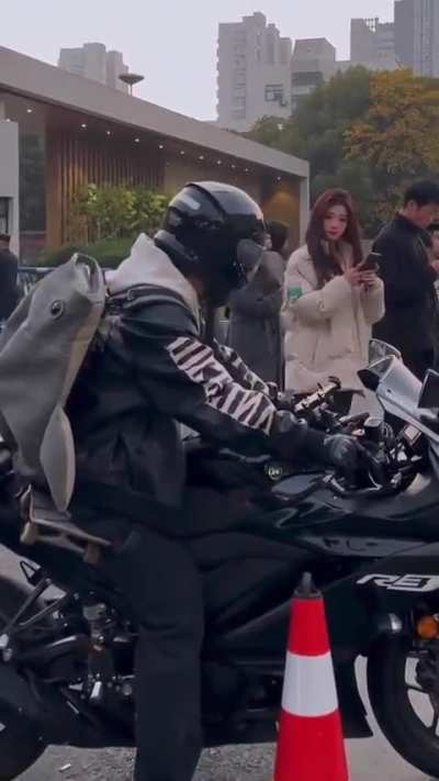 Bro is the main character