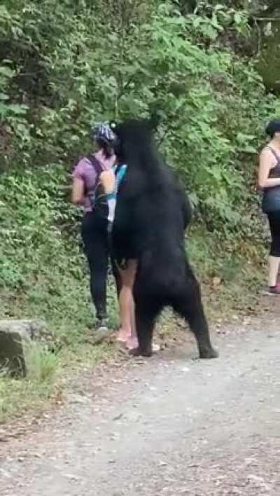 Beer encounter while hiking