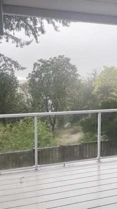 some cozy downpour in Washington :)