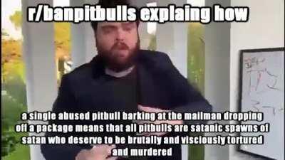 a pitbull peed on my carpit and armd nuclear wepins in iran and ruined the exonomy