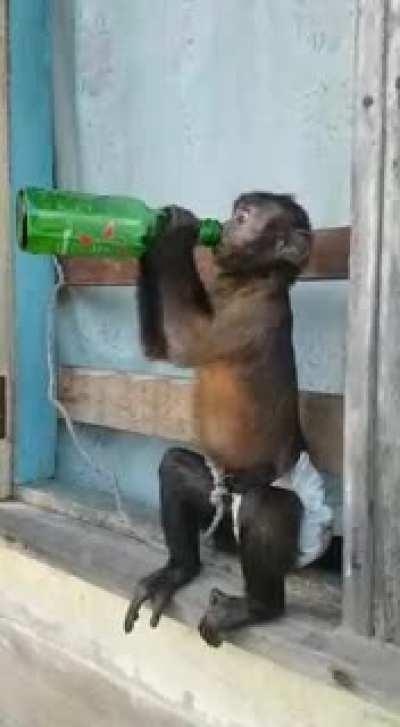 My mother just sent me that