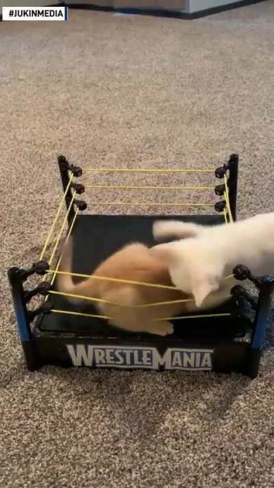WrestleMania