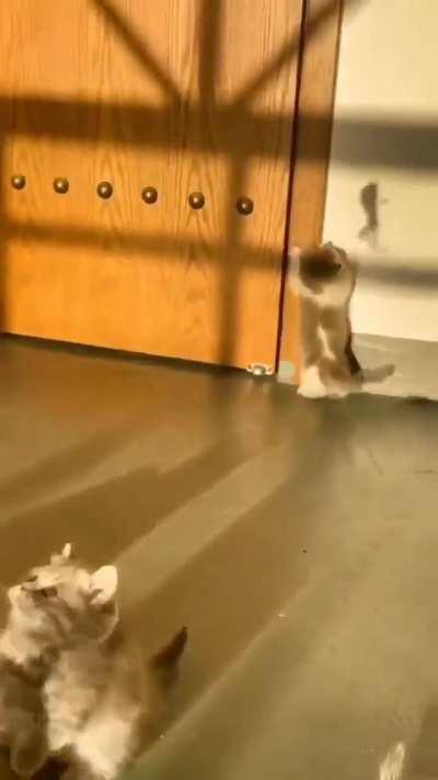 That one friend in your friend group😂