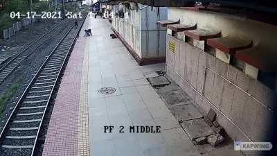 Rescued the child from the railway tracks where he'd fallen while walking with his mother [visually impaired] and later donated half of his award money to mother and her child.