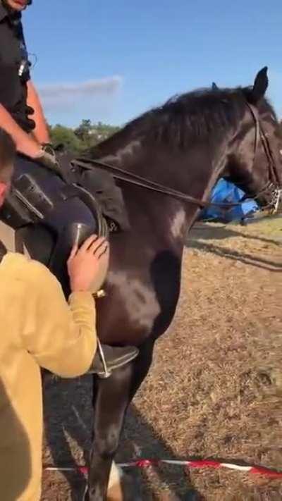 Darf ich mal streicheln?