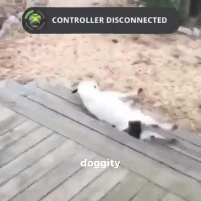 Controller disconnected