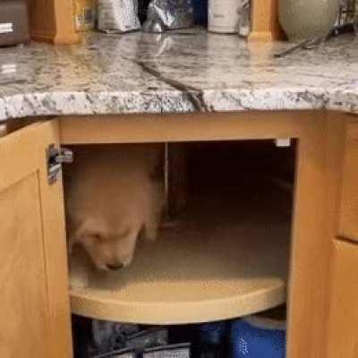 This looks so adorable 🤭🤭 poor puppy can't get out