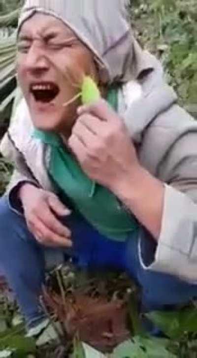 Oh Nice now let me try it