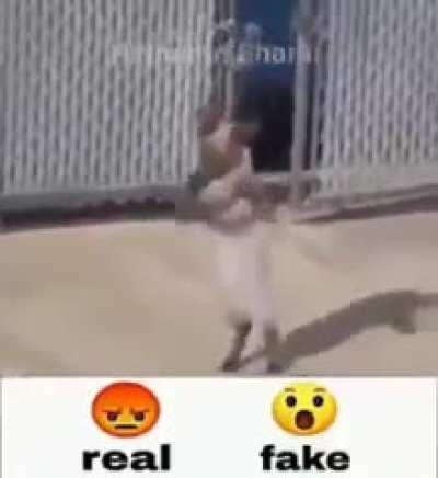 I’m 15 and this is yeet