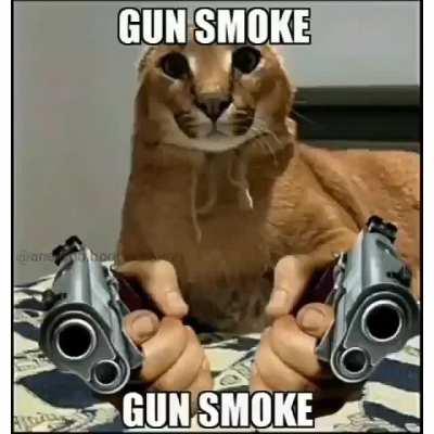 Relax and take notes