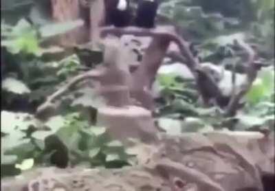 my brother sent me this without context