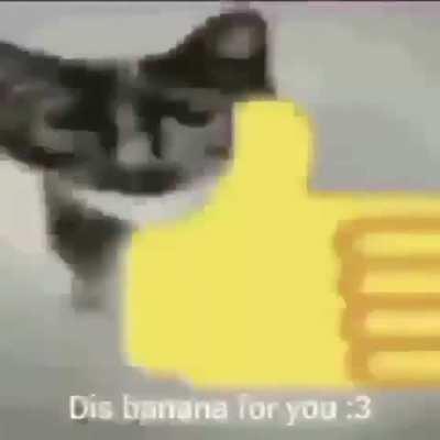 Feel like some of y'all need to see this 