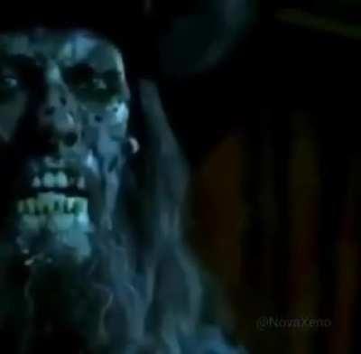 Captain Barbossa