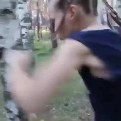 What did the tree do?