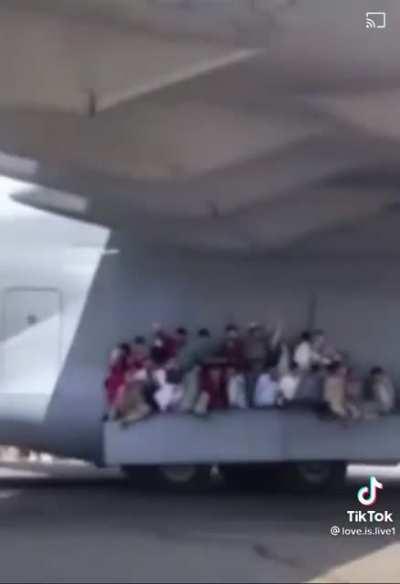 How many of them died?