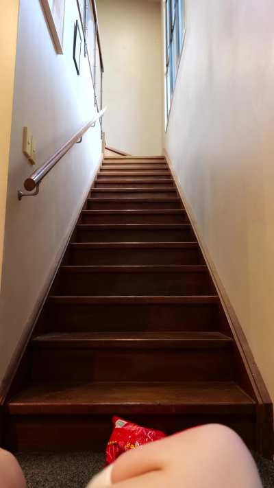 This pet will grab your food [OC]