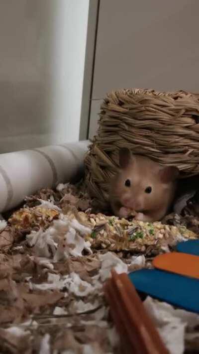 Look momma I'm holding my snack with only one hand!