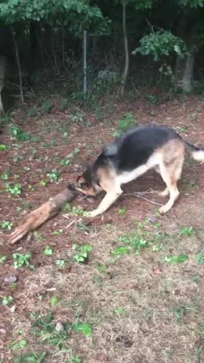 What do you mean it's too big?