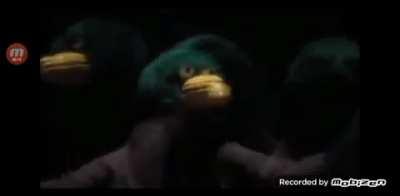 It's time to start asking life the big questions