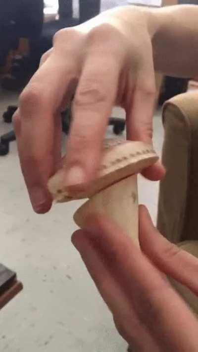 Invertedly identical snails from two different oceans