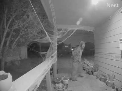 This guy on my porch at 5AM. Slept through the whole thing.