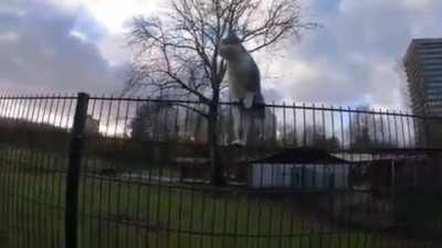 She is the chosen one, her fate is sealed!