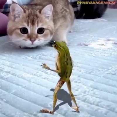 Koi iske lyrics batao please.